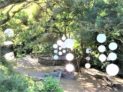Gambolin' Man: LIVE OAK PARK: Meditative Strolling & Reflective Lolling in  the Wild (& Urban) Environs of Berkeley's First Nature Park