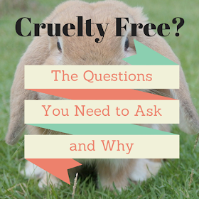 cruelty free bunny - questions to ask