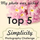 top51