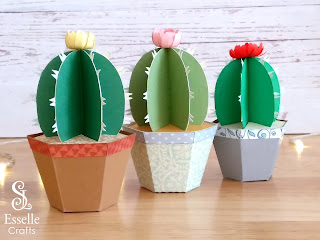 Cactus Favour Boxes by Esselle Crafts