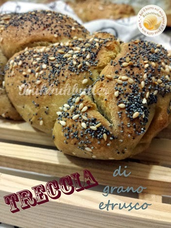 treccia semi misti