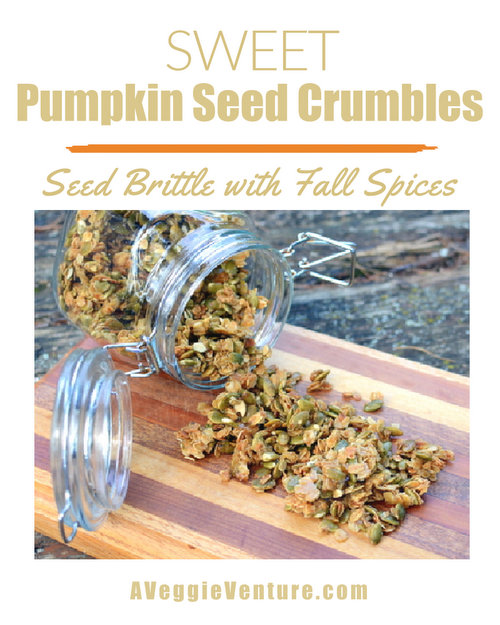 Sweet Pumpkin Seed Crumbles, a fall favorite ♥ A Veggie Venture, crunch clumps of honey-sweetened oats and pumpkin seeds, more nut brittle than granola.