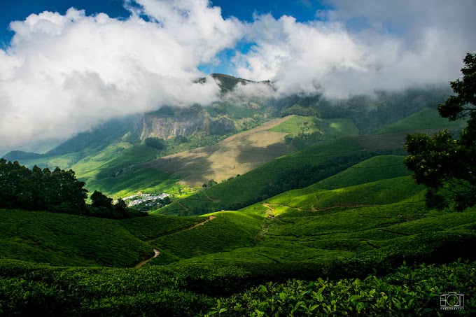 Kolukkumalai, Munnar.