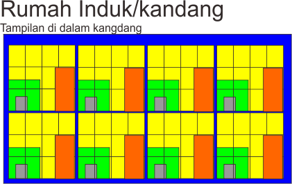 Kandang Burung  Merpati Cara Membuat Kandang Burung  