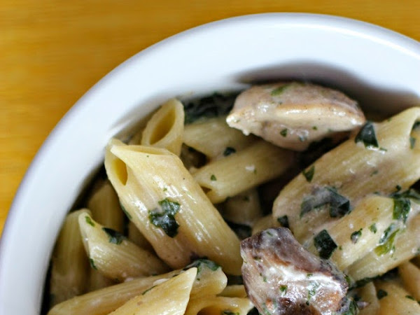 Quick Chicken Stroganoff Penne Pasta