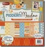dcwv modern meadow
