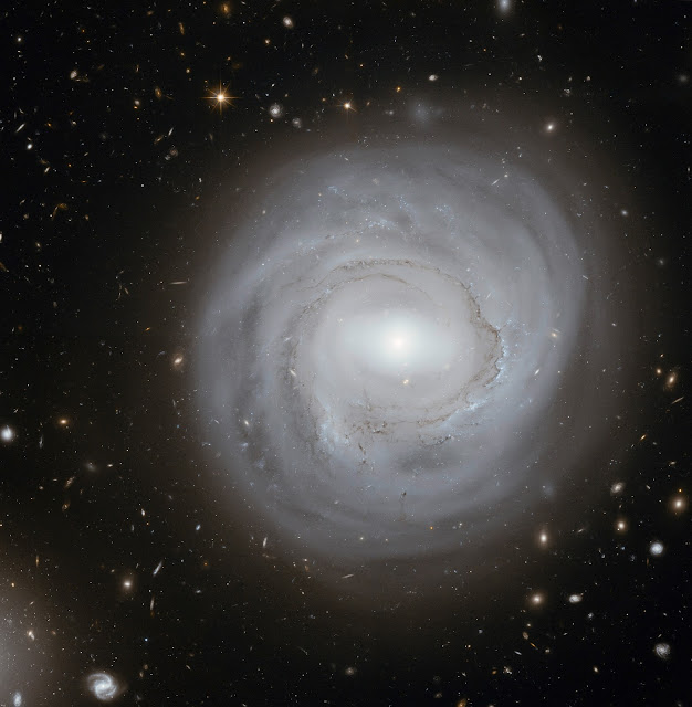 Spiral Galaxy NGC 4921