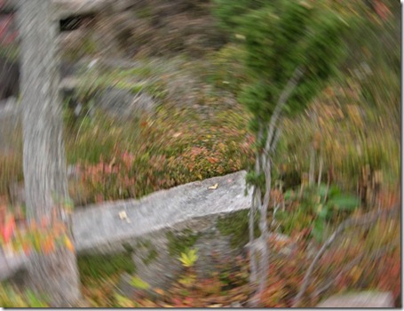 DSCN0163