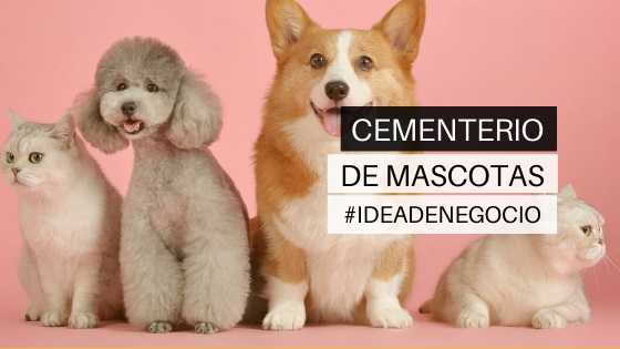 negocio cementerio de mascotas