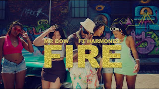 VIDEO | Mr Bow Ft Harmonize - Fire (Mp4 Video Download)