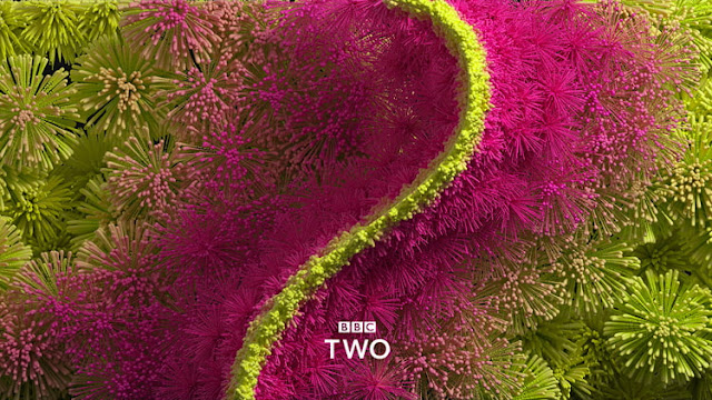 BBC-Two-nuevo-diseño--cortinillas-2018-muy-creativas