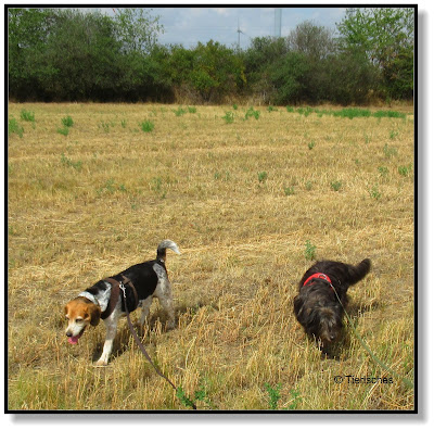 Emma und Lotte