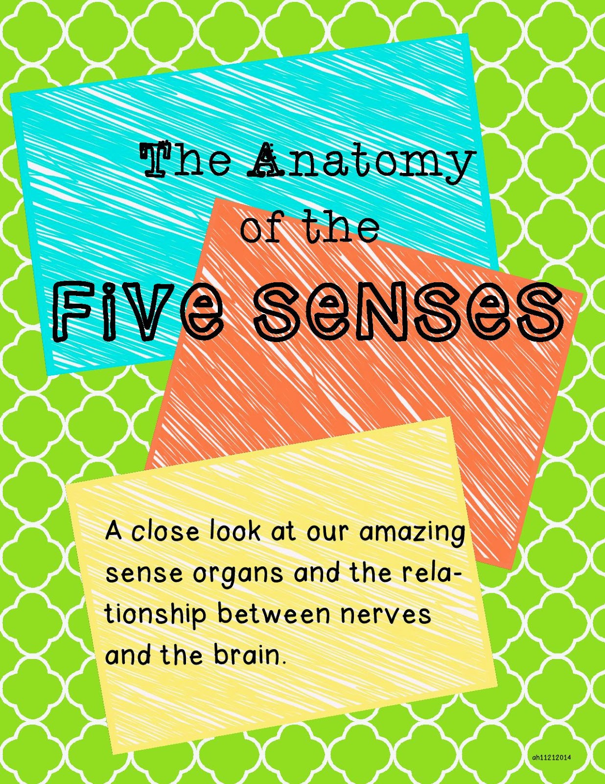 http://www.teacherspayteachers.com/Product/The-Anatomy-of-the-Five-Senses-1570566