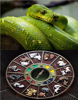 Chinese Snake Horoscope, Chinese Aspid Horoscope, Chinese Snake Zodiac, Chinese Aspid Zodiac, Chinese Horoscope Snake Years, Chinese Aspid Years Horoscope, Chinese Horoscope Snake Years, Asian Horoscope Aspid Years, Metal Snake, Water Snake , Wood Serpent, Fire Serpent, Earth Snake - Starpluto.blogspot.com