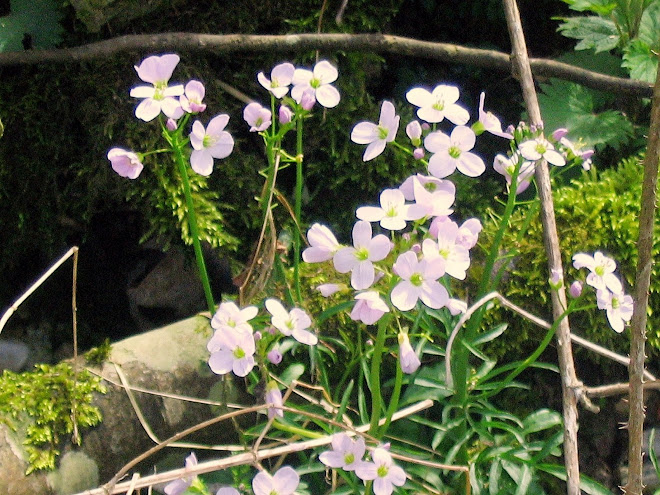 12-06