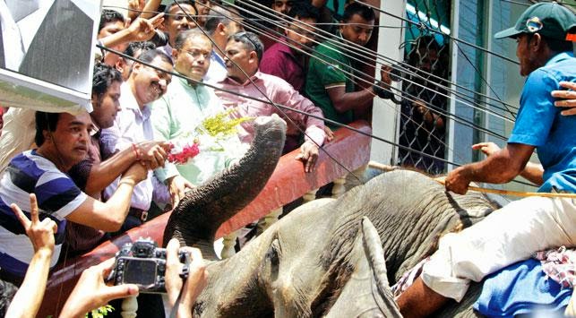 নিরুত্তাপ নিয়ন্ত্রণকক্ষের আট ঘণ্টা by মাসুদ মিলাদ ও সুজন ঘোষ