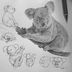 03-Koala-tutorial-Animal-Pencil-Drawings-Anjjaemi-www-designstack-co