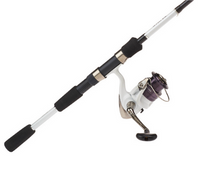 Fishing Rod and Reel