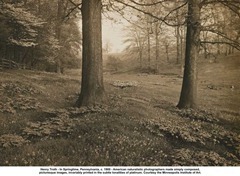 Henry Troth American Naturalistic - 1900