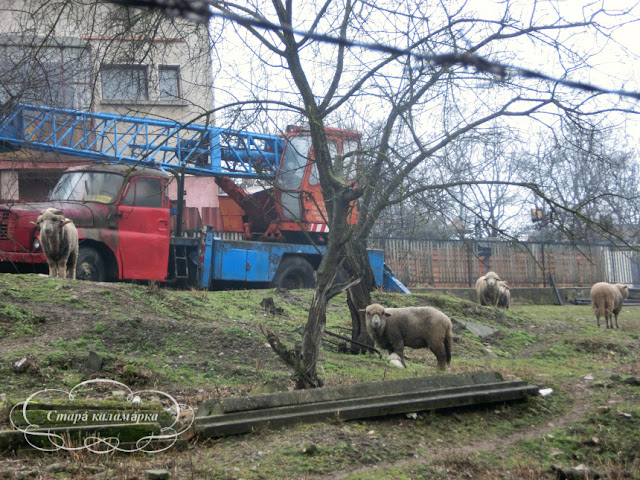 велодорожки будапешта, велопрогулки по европе,  на велике по европе