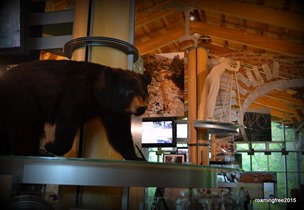 In the Visitor Center