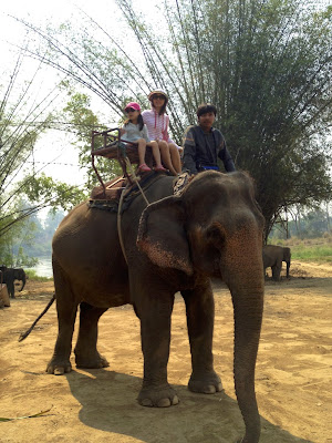 elephant riding in Kanchanaburi