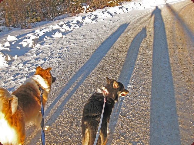 Endelig fredags-tur igjen_110211_3339 Endelig fredags-tur igjen_110211_3339