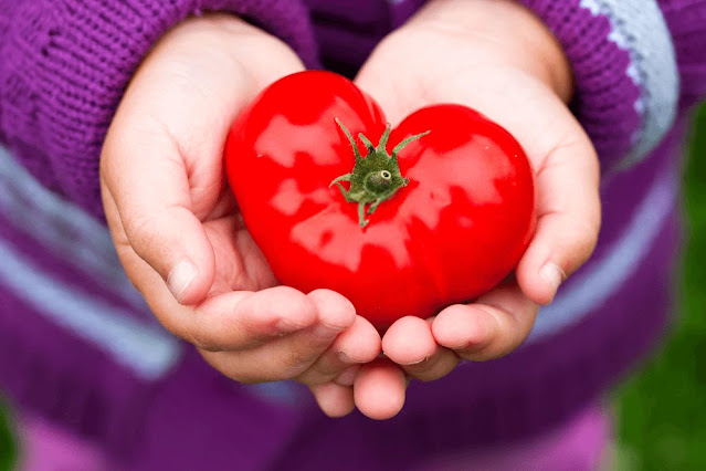 Lower back pain - tomatoes