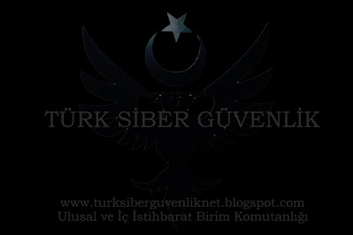 Türk Siber Güvenlik