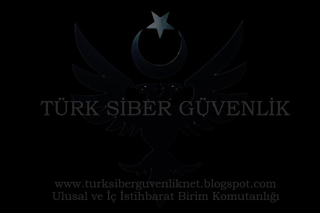 Türk Siber Güvenlik İstihbarat ve Strateji Nedir?