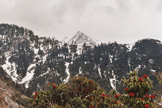 Triund - Dharamshala