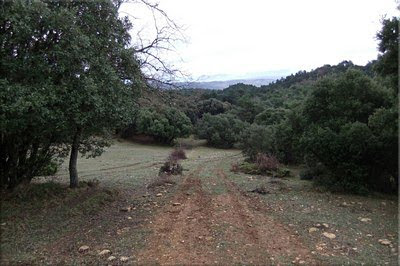 Seguimos el camino central