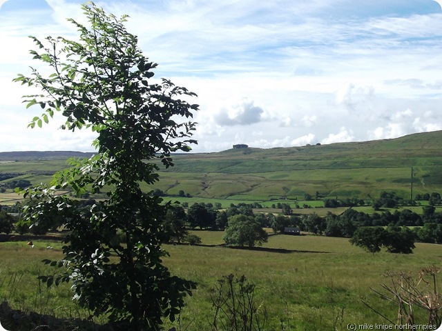 its that bloody kirkcarrion again