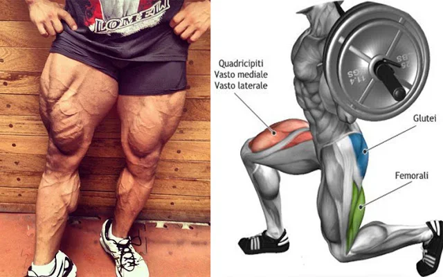 10 Exercises to build massive legs