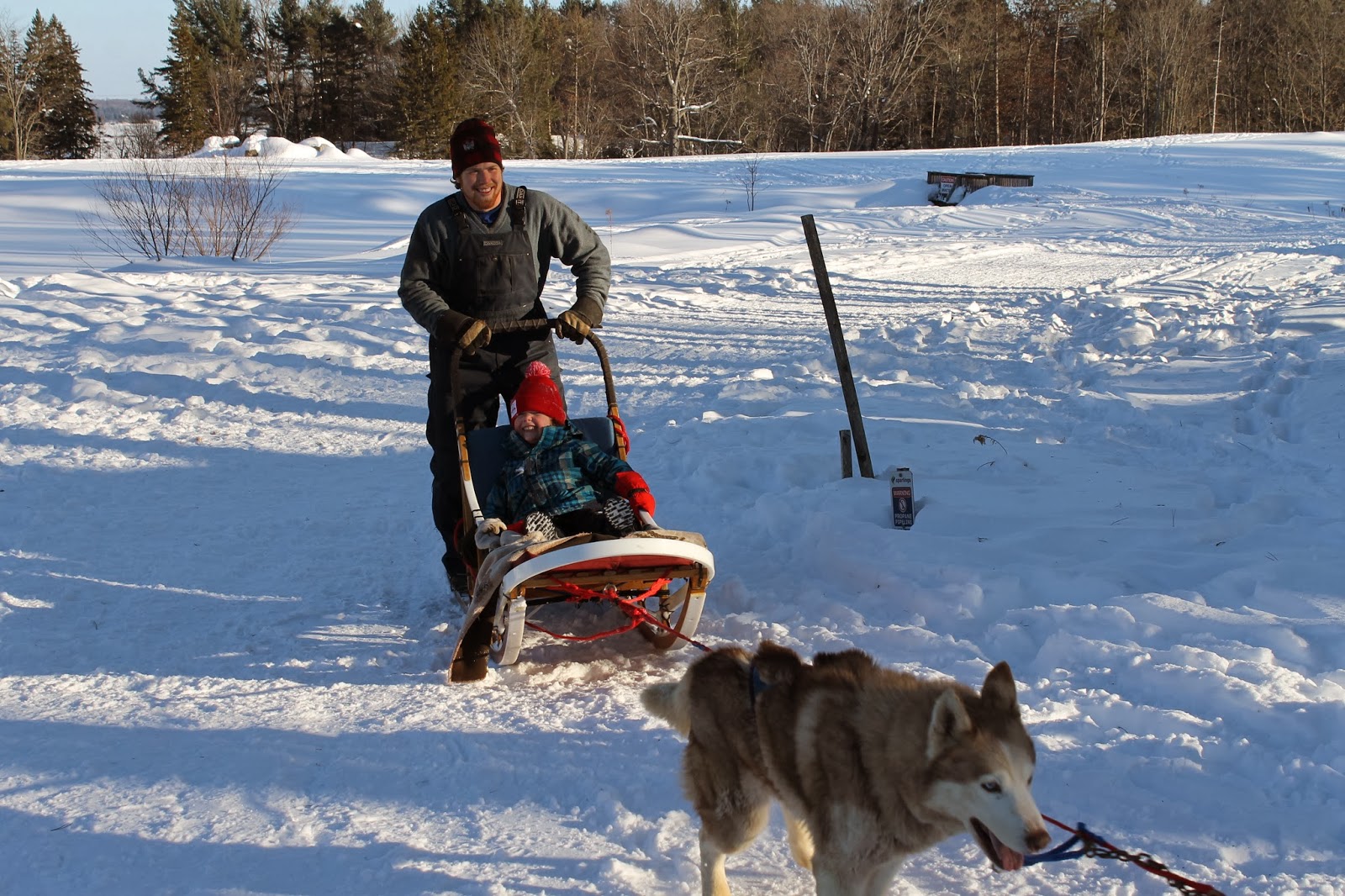 Winterdance Dogsledding