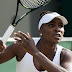 Venus Williams agrees settlement in fatal Florida car crash