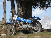 Picture thanks Pat from Aspen Cafe Based on the TLR200 (see 1982 Honda .