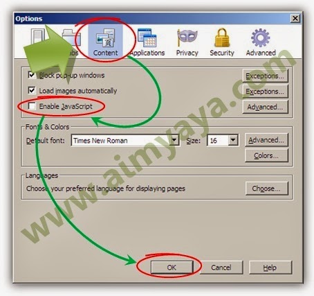  Gambar: Cara mematikan javascript di Mozilla firefox