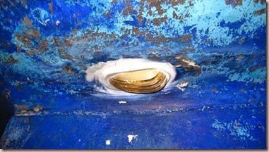 IMG_7752 IMG_7752