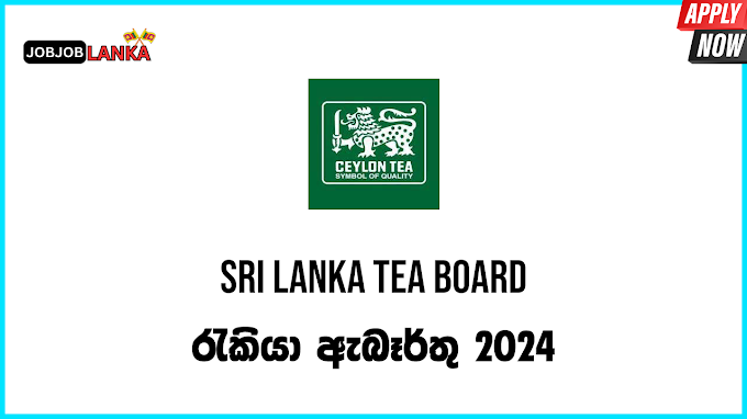 Sri Lanka Tea Board Job Vacancies 2024 In Sri Lanka