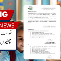Punjab College Summer Vacation Notification 2025