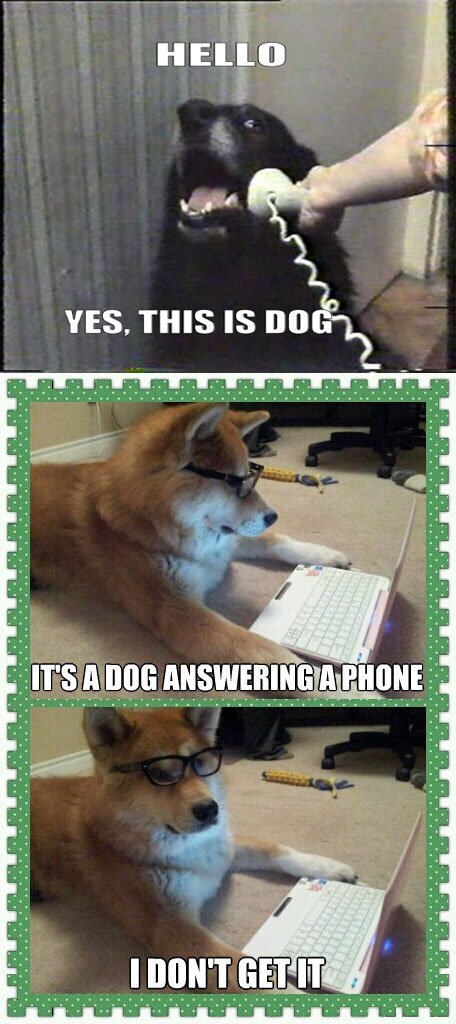 Yes This Is Dog - It's A Dog Answering A Phone - I Don't Get It