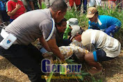 Tiga orang Tewas tertabrak KA Sri Tanjung