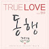 True Love - Special Dream Mate OST