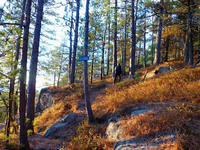 Sunset hike up Thomas Mountain, Saturday 10/11/2014.

The Saratoga Skier and Hiker, first-hand accounts of adventures in the Adirondacks and beyond, and Gore Mountain ski blog.