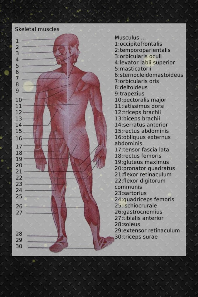 90 Interesting facts about the body ! Interesting facts about the body and mind