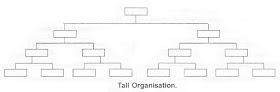 Tall Organisation
