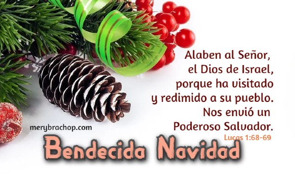 cita biblica de navidad Jesus salvador lucas 1