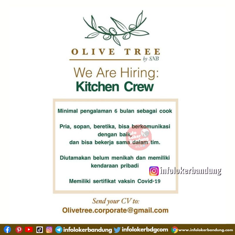 Lowongan Kerja Kitchen Crew & Kithen Asistant Olivetree Bandung April 2024