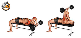 Best Arm Exercises to Build Muscle